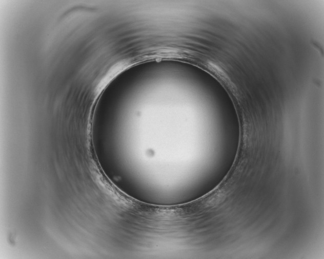 X0000102501378200808151510