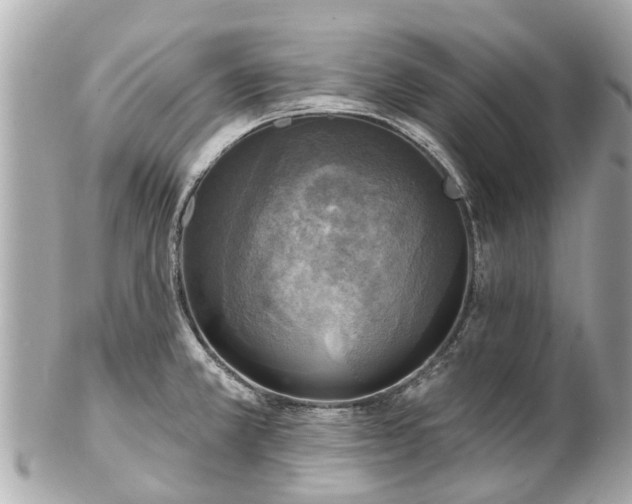 X0000102501381200808151510