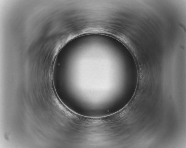 X0000102501382200808151510