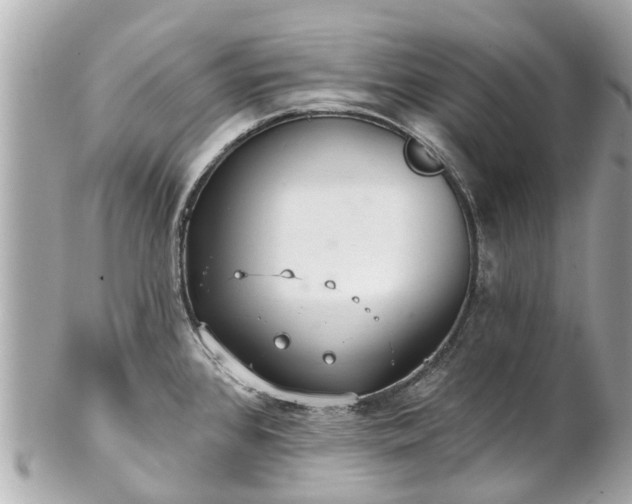 X0000102501384200808151510