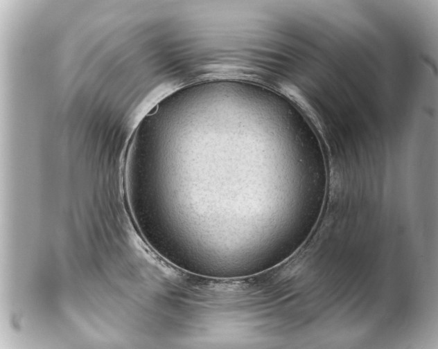 X0000102501386200808151510