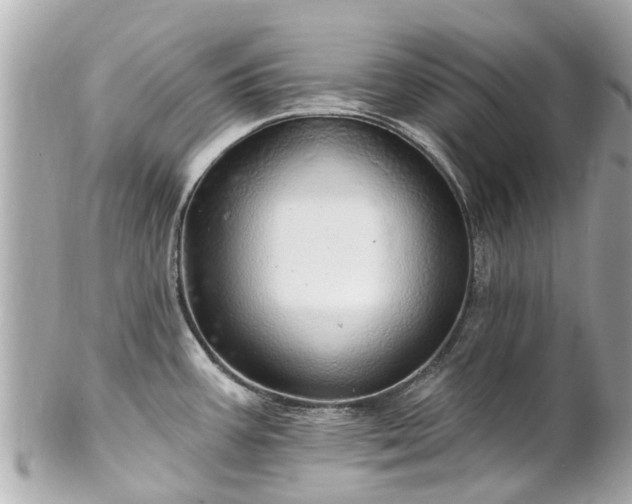 X0000102501387200808151510