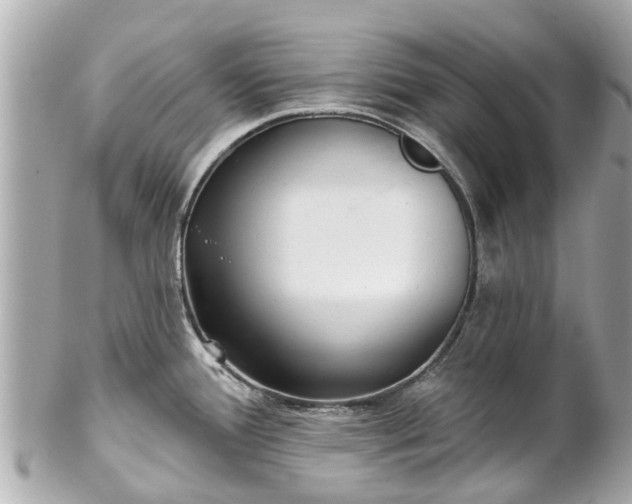 X0000102501388200808151510