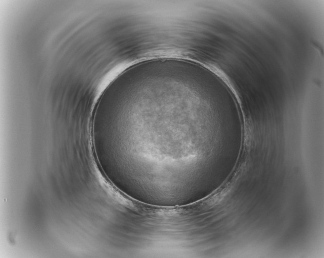 X0000102501389200808151510