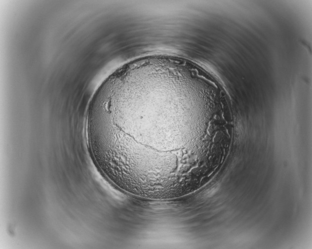 X0000102501391200808151510