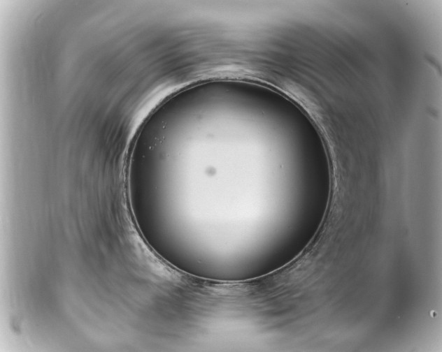 X0000102501392200808151510