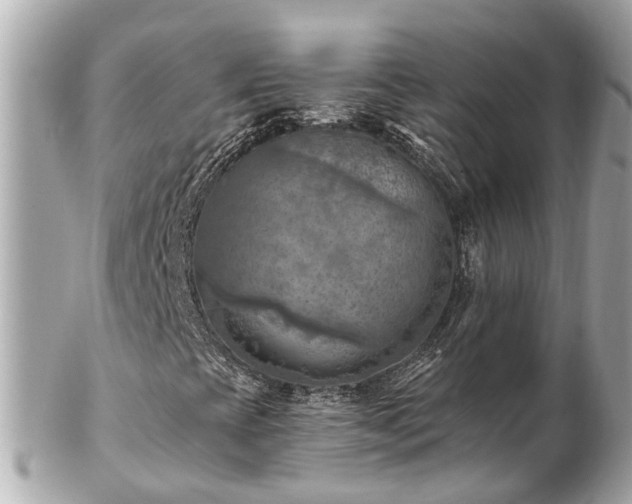 X0000102501393200808151509