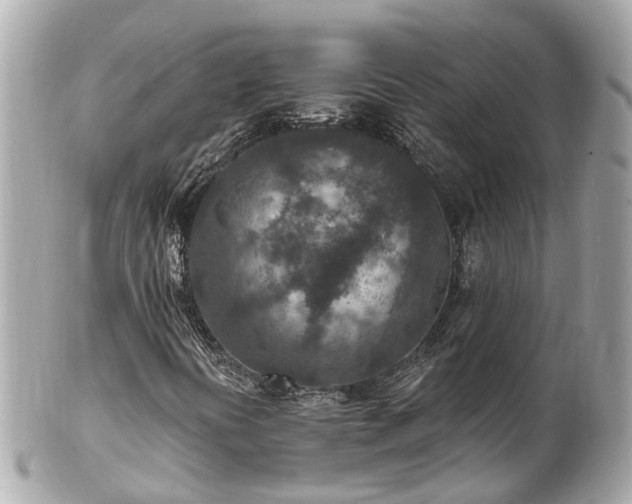 X0000102501394200808151509