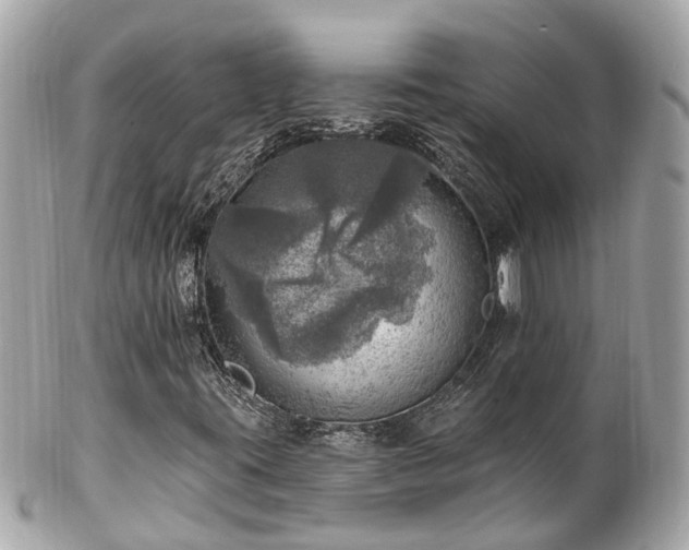 X0000102501395200808151509