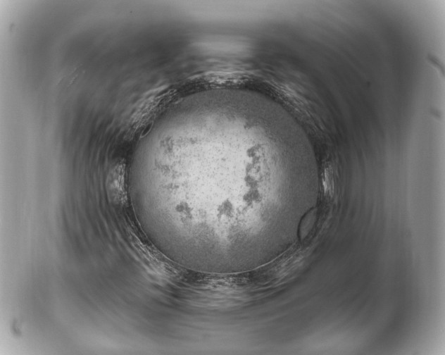 X0000102501396200808151509