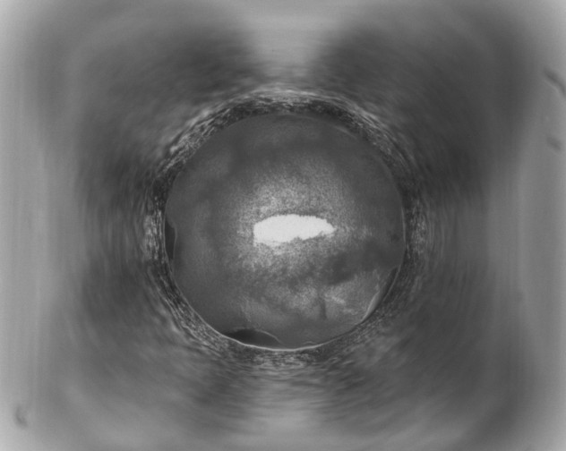 X0000102501397200808151509