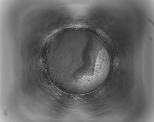 X0000102501398200808151509