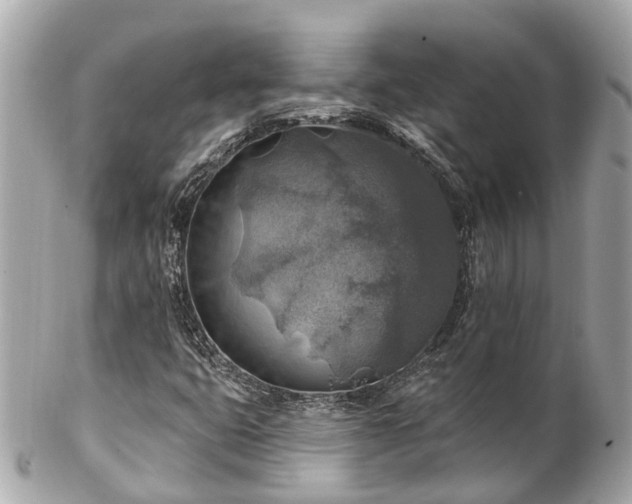 X0000102501399200808151509