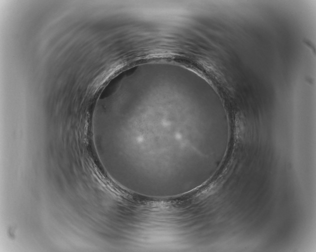 X0000102501401200808151509