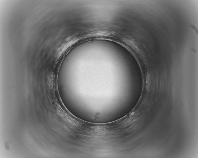 X0000102501404200808151509