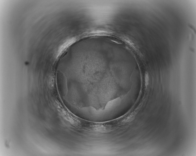 X0000102501405200808151509