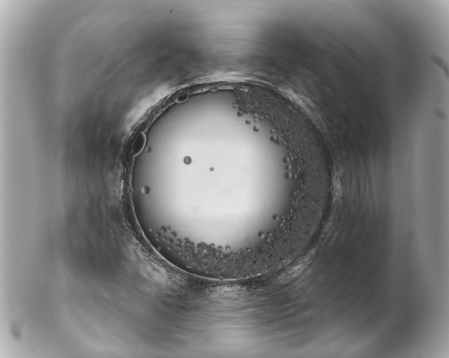 X0000102501406200808151509