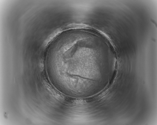 X0000102501407200808151509