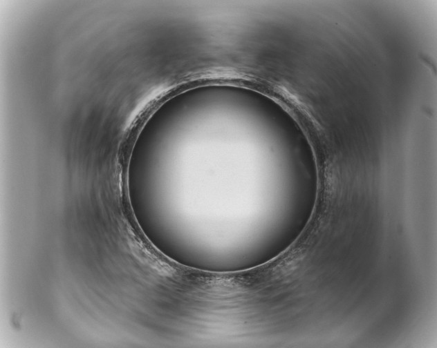 X0000102501408200808151509