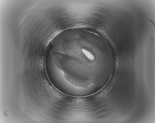 X0000102501409200808151509