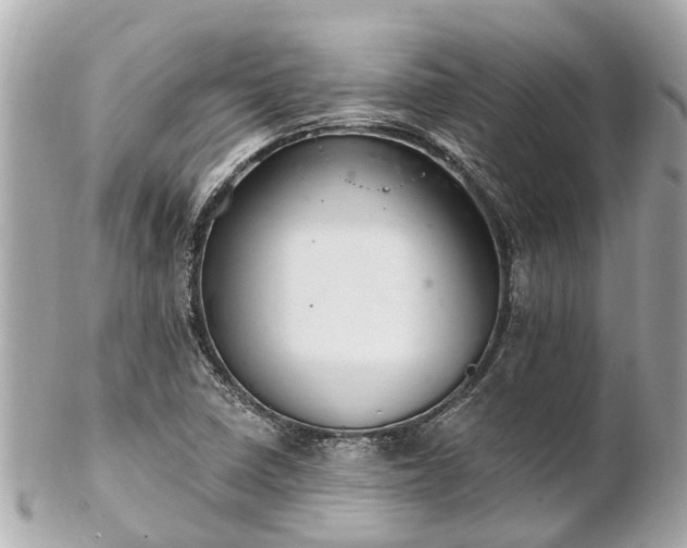 X0000102501410200808151509