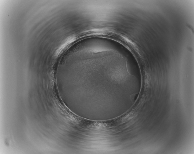 X0000102501411200808151509