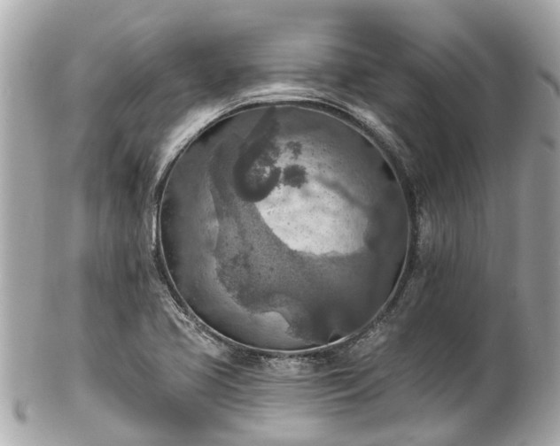 X0000102501413200808151509