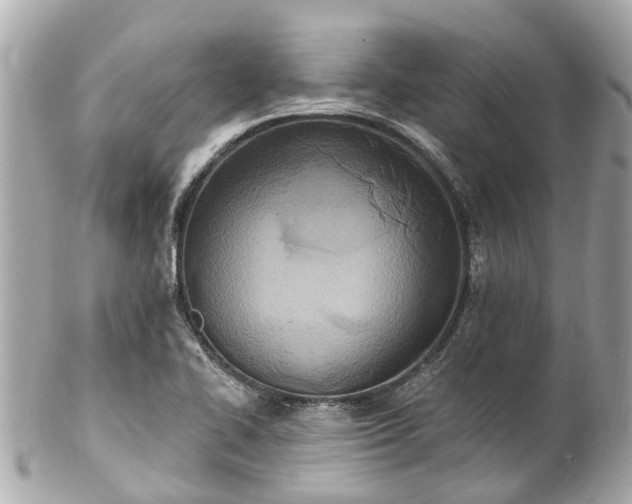 X0000102501414200808151509