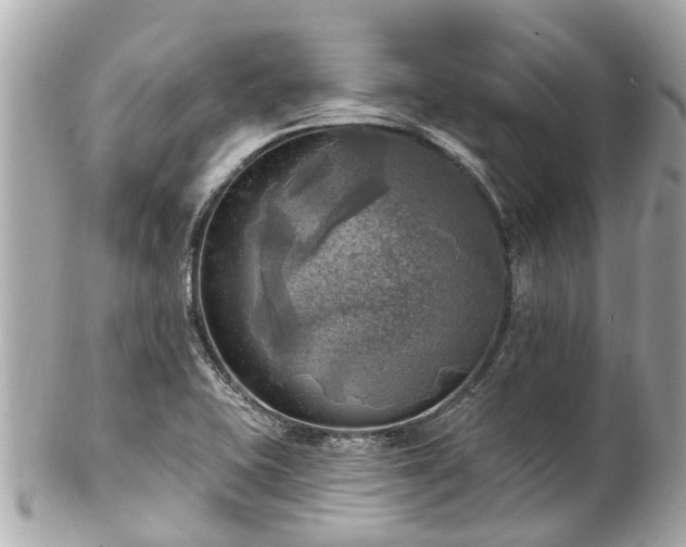 X0000102501415200808151509