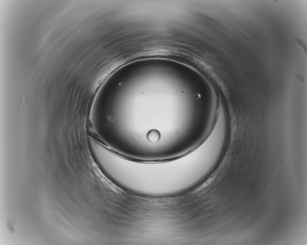 X0000102501417200808151509