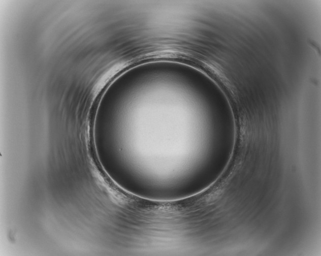 X0000102501418200808151509