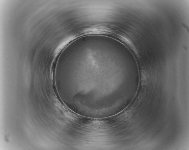 X0000102501419200808151509