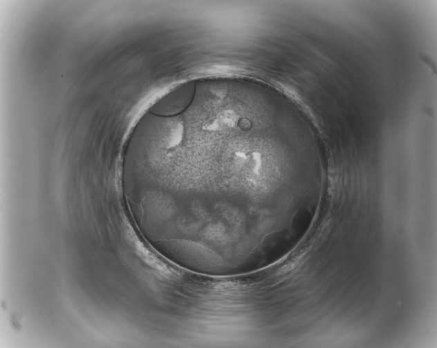 X0000102501421200808151509