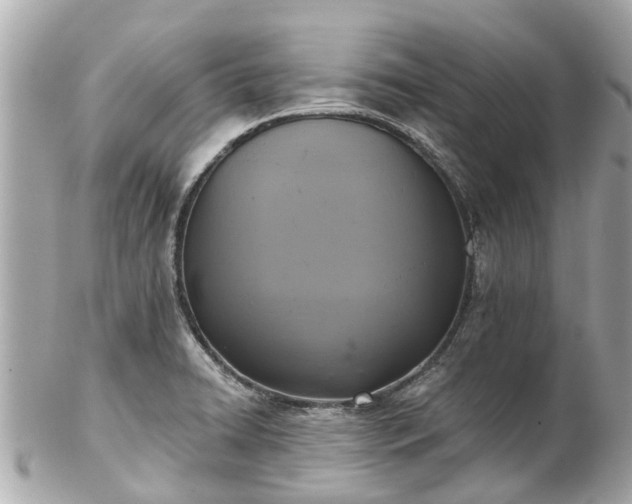 X0000102501422200808151509