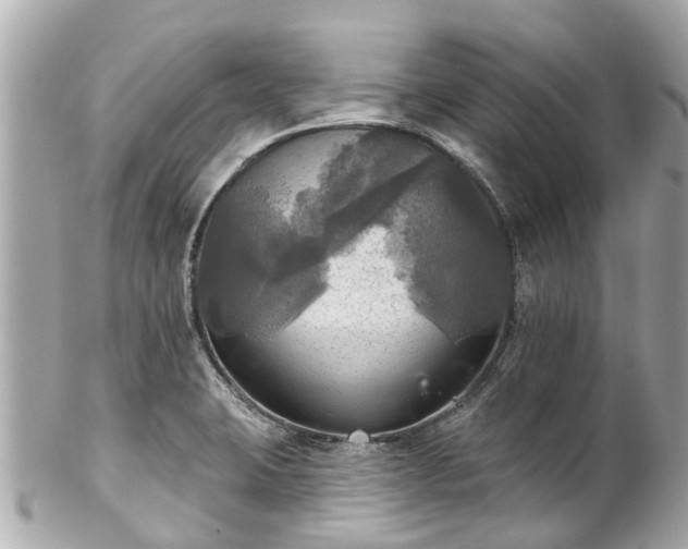 X0000102501423200808151509