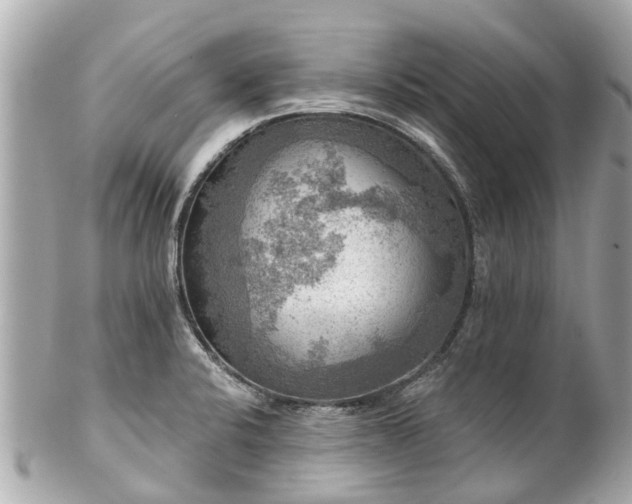 X0000102501424200808151509