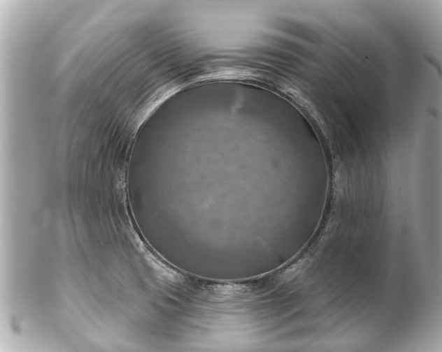 X0000102501425200808151509