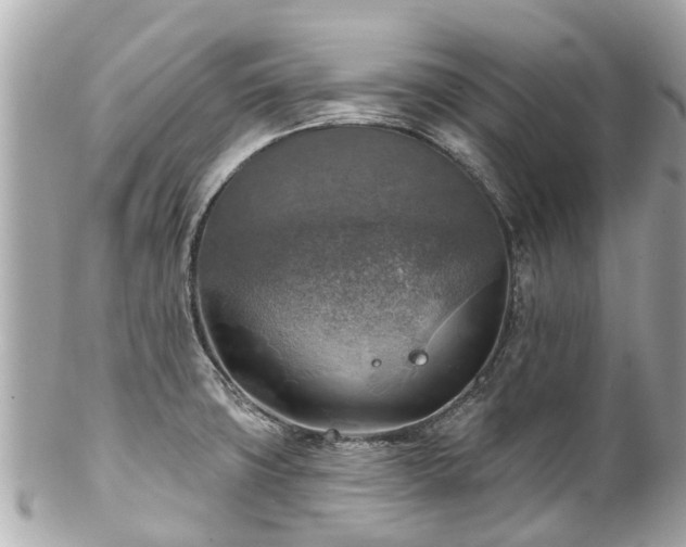 X0000102501427200808151509