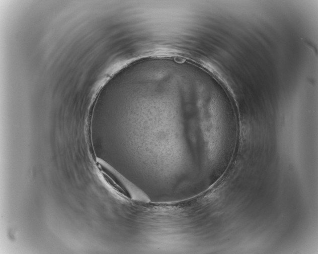 X0000102501429200808151509