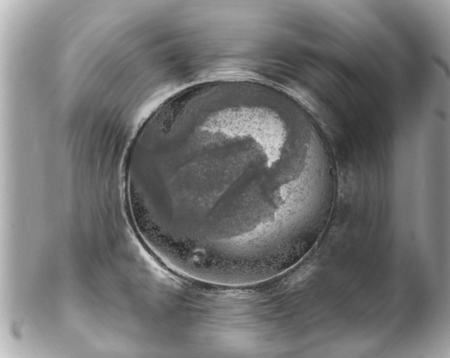 X0000102501430200808151509