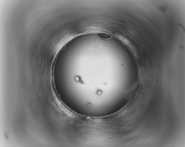 X0000102501431200808151509