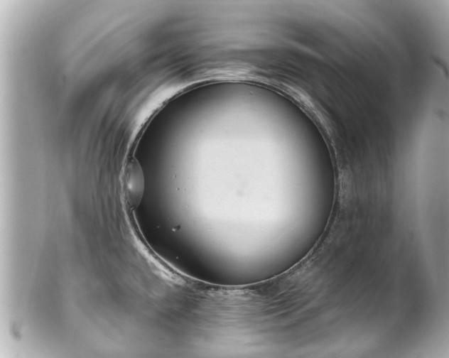 X0000102501432200808151509