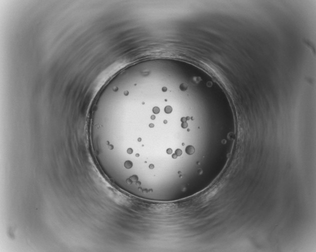 X0000102501434200808151510