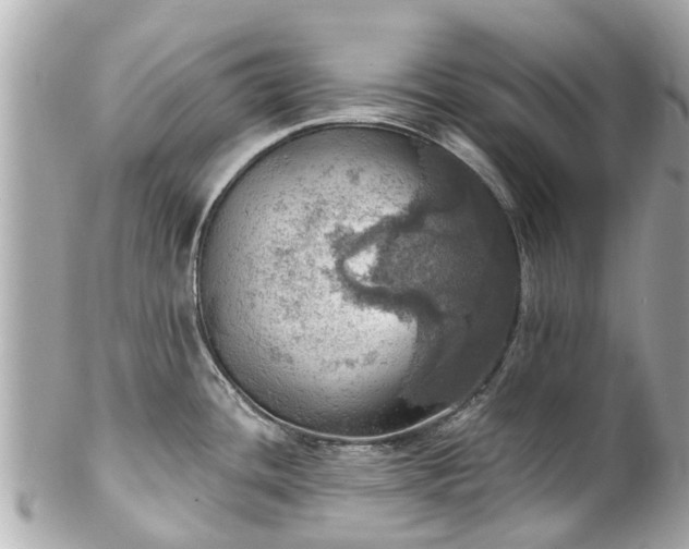 X0000102501436200808151510