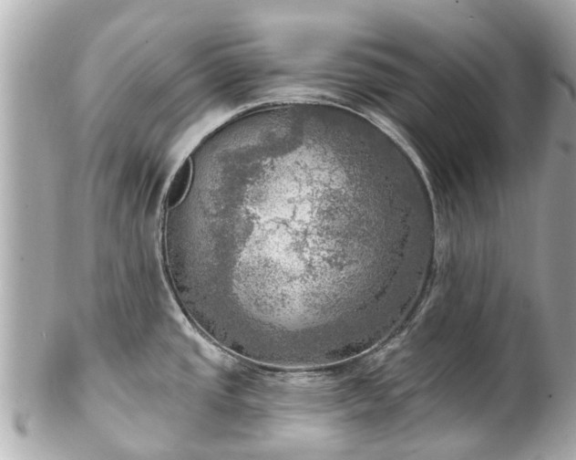 X0000102501437200808151510