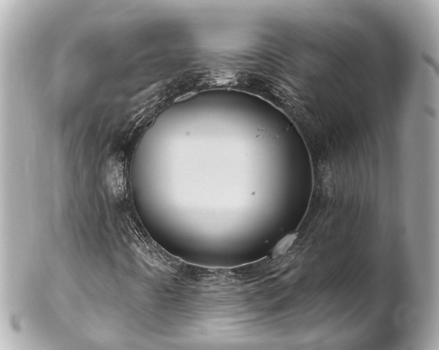 X0000102501442200808151509