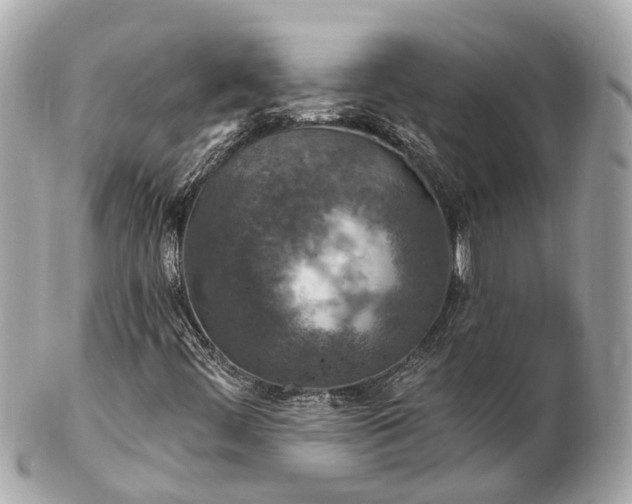 X0000102501444200808151509