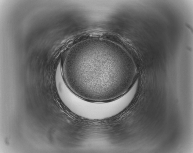 X0000102501445200808151509