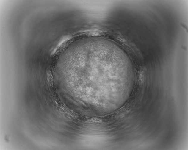 X0000102501446200808151509