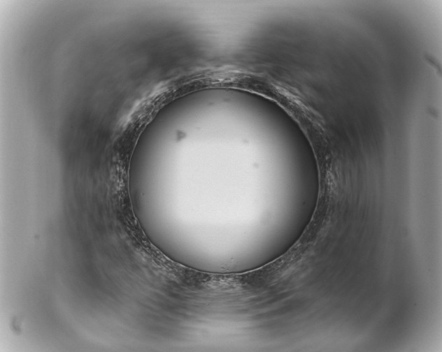 X0000102501447200808151509